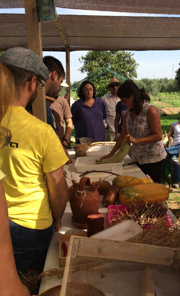 horticultura ecologica