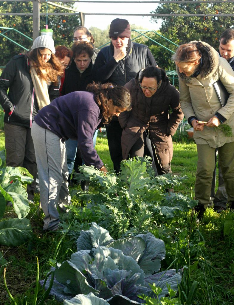 cursos agroecologia