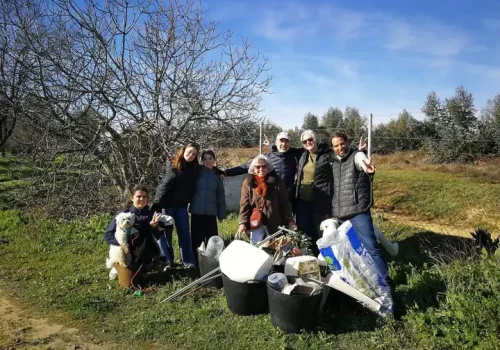 Retirada de basura del eucaliptal